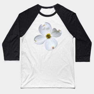 White Dogwood Flower on White Baseball T-Shirt